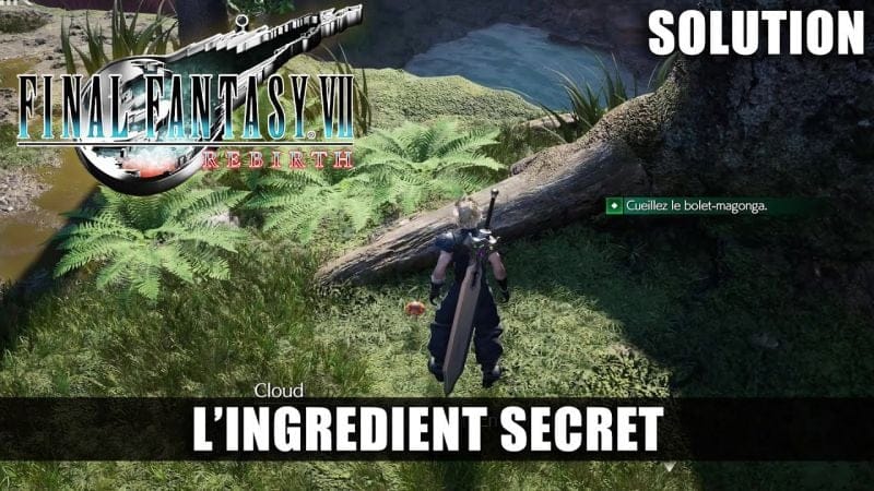 Final Fantasy 7 Rebirth - Solution Quête : L'ingrédient secret (Sel Gemme, Bolet Magonga)