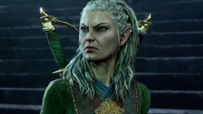 Elon Musk est sévèrement taclé par les papas de Baldur's Gate 3 : ce projet ne leur plaît pas du tout