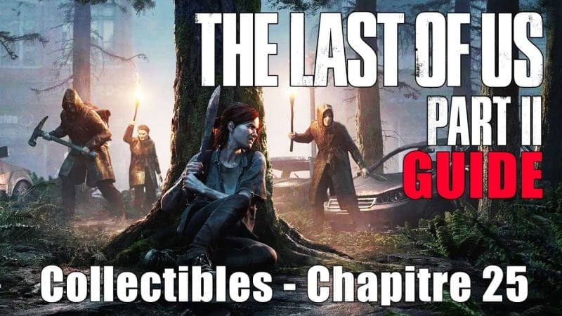 THE LAST OF US 2 - EMPLACEMENTS COLLECTIBLES Chapitre 25 : À pied (Artefacts, Pièces, coffres, ...)