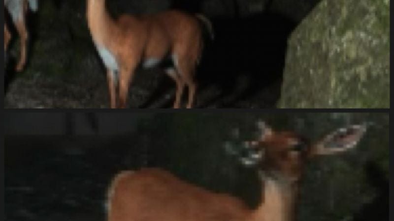 Quizz du Samedi ça vous dit ?