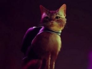 Stray confirmé dans le PS Plus Essential