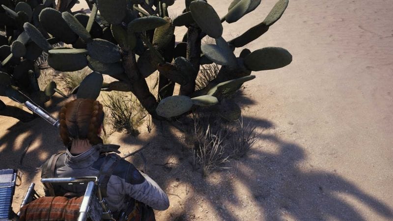 Où trouver les figues de Barbarie dans ARC Raiders ?