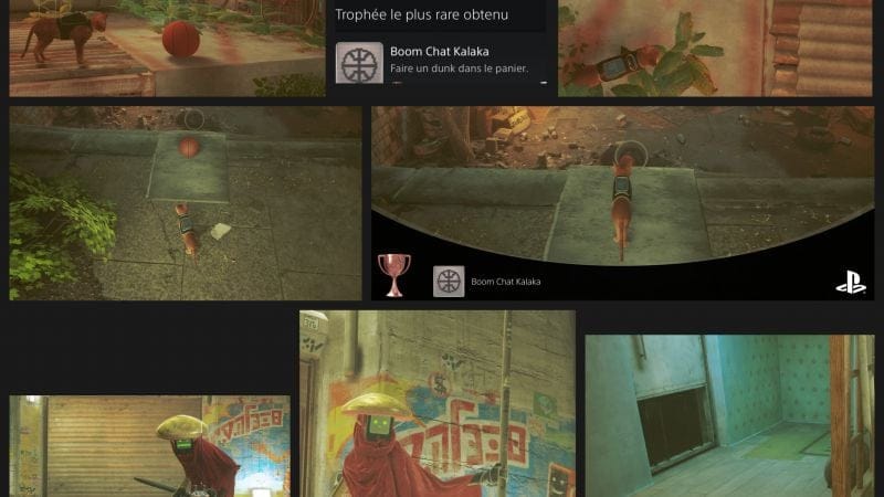 Pas assez relevé ce challenge Stray j’ai corsé l’affaire