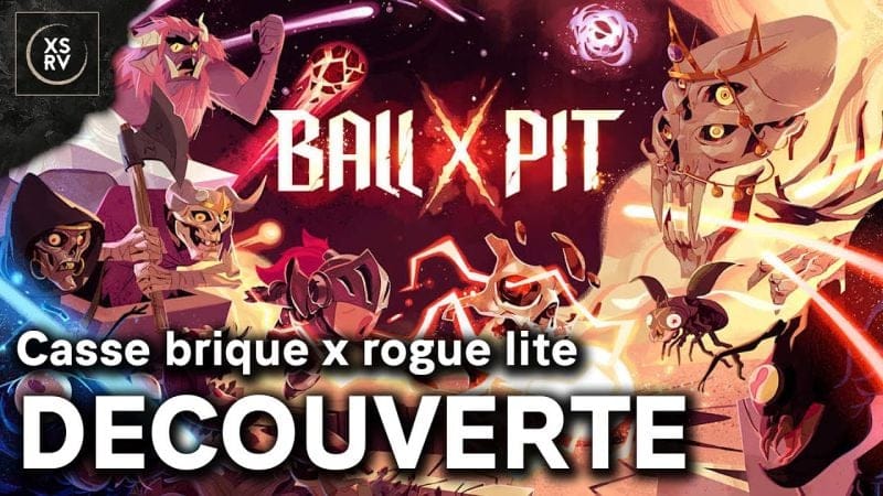 Un casse brique survivors, c'est Ball X Pit que je découvre ce soir !