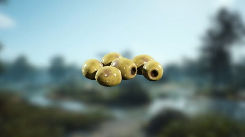 Olive ARC Raiders : où trouver cette ressource naturelle pour Coquillard, votre coq ?