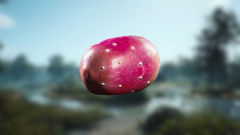 Figue de barbarie ARC Raiders : où trouver cette ressource naturelle pour Coquillard, votre coq ?