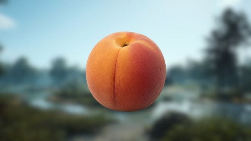 Abricot ARC Raiders : où trouver cette ressource naturelle pour Coquillard, votre coq ?