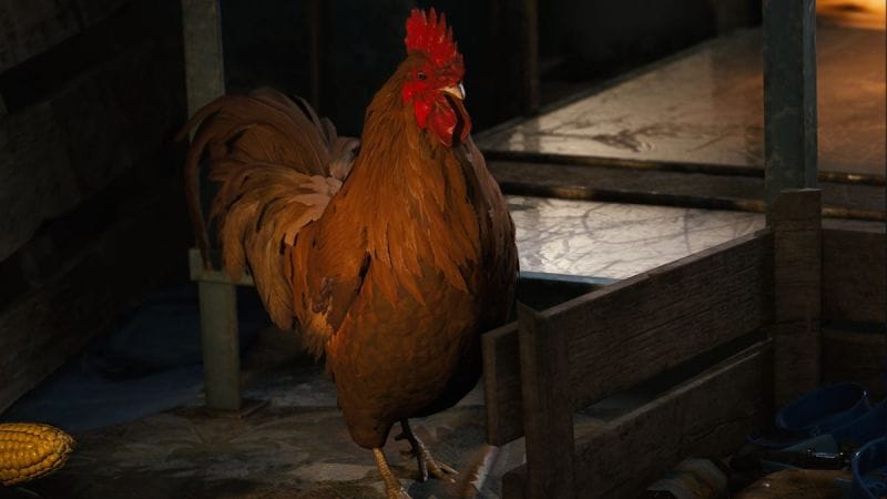 Collier de chien Arc Raiders : Où trouver l'objet d'amélioration de Coquillard le coq ?