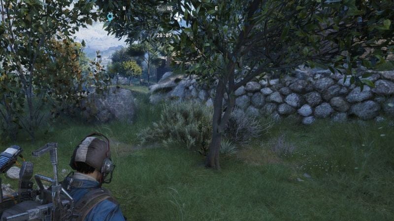 Olive Arc Raiders : Où trouver ce fruit pour entraîner le Coq ?