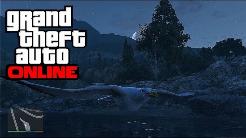 [PS4/Xbox One] COMMENT SE TRANFORMER EN OISEAU - EASTER EGG - GTA 5 ONLINE (peyotl 1)