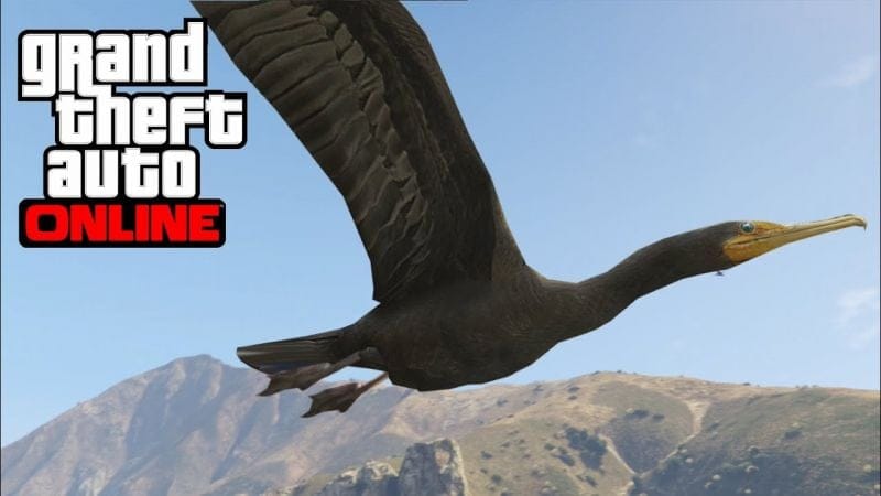 [PS4/Xbox One] SE TRANSFORMER EN CANARD ET ATTAQUER LA BASE MILITAIRE - GTA 5 ONLINE (Peyotl 3)