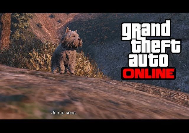[PS4/Xbox One] SE TRANSFORMER EN CHIEN - GTA 5 ONLINE (Peyotl 4)