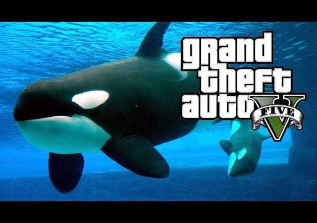 SE TRANSFORMER EN ORQUE ET AUTRES (Peyotl 18, 19, 20 et 21) GTA 5 NEXT GEN