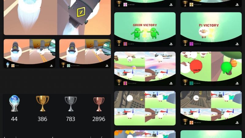 Trophée Platine no 44 Flockout