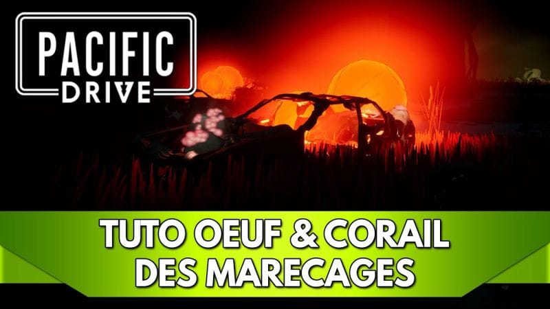 Pacific Drive Tuto FR : Œufs / Corail des Marécages, où en trouver ?