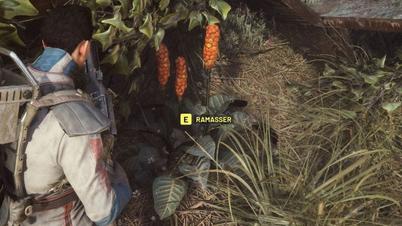 Un nouveau type de plante Arc Raiders : Où trouver l'objectif de quête ?
