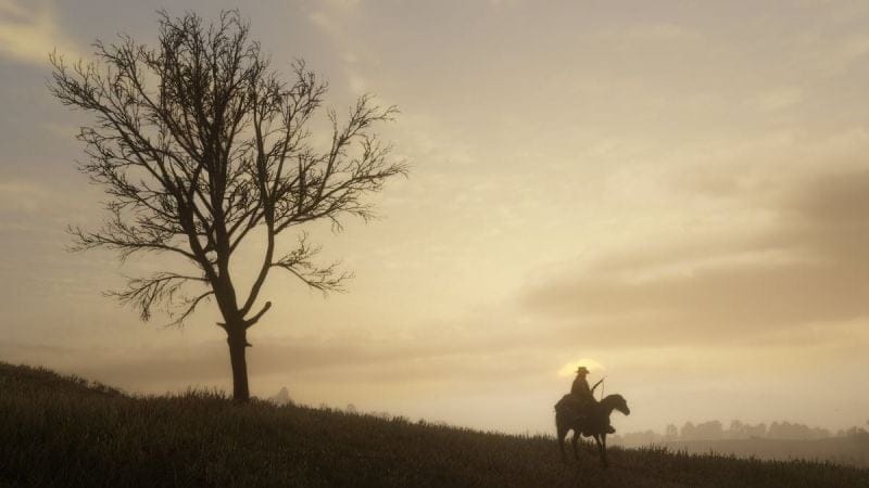 "Je ne peux pas être le seul à l'avoir remarqué", ce joueur de Red Dead Redemption 2 fait une découverte qui prouve que Rockstar n'a rien fait au hasard avec son RPG