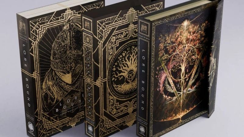L'histoire d'Elden Ring pourrait bientôt ne plus avoir de secret pour vous grâce à un livre de 400 pages