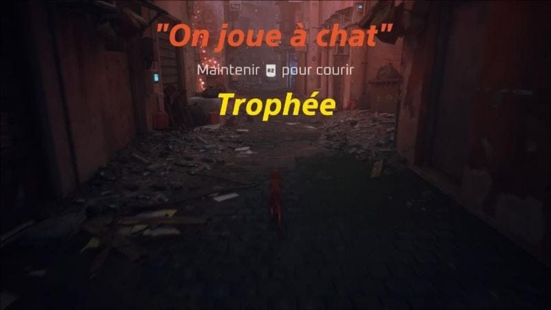 Succès "On joue à chat" Stray