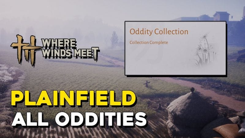 Where Winds Meet Plainfield All Oddity Locations