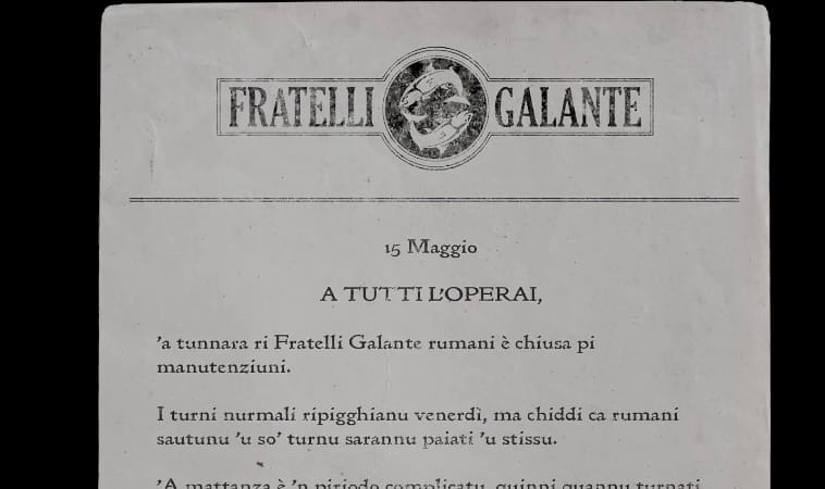 Les notes du chapitre 11 : Mattanza