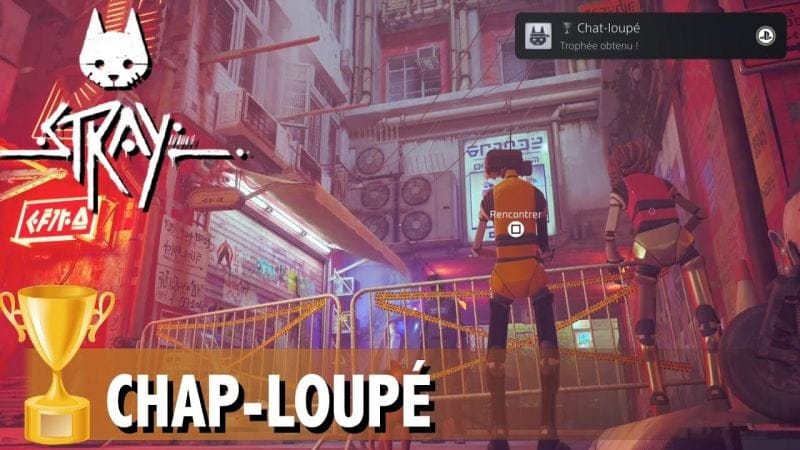 CHAT-LOUPÉ - FRANCHIR LE CENTRE VILLE SANS SE FAIRE DÉTECTER  TROPHÉE / SUCCÈS - STRAY