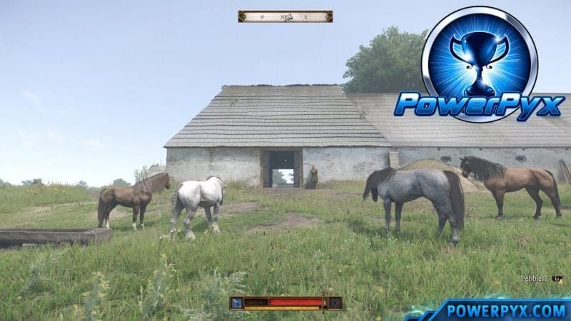 Kingdom Come Deliverance 2 - How to Get a Horse (An Old Friend Trophy / Achievement Guide)
