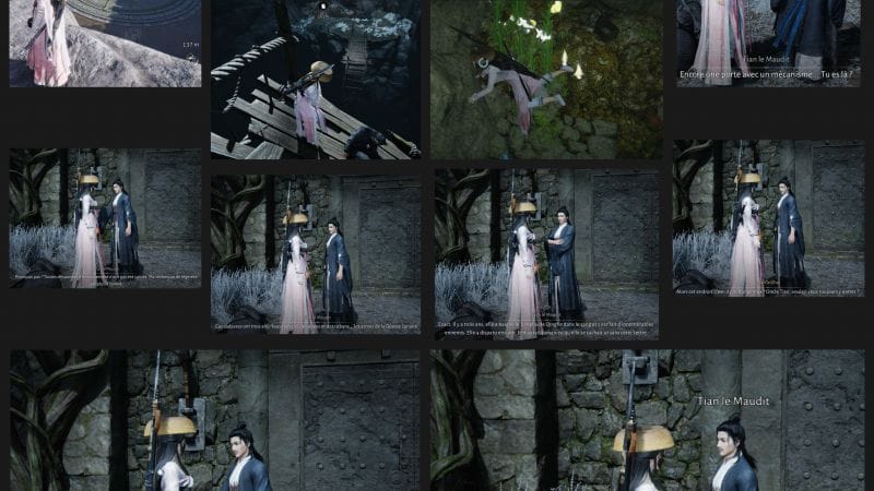 Where Winds Meets  WWM quête favorite #2