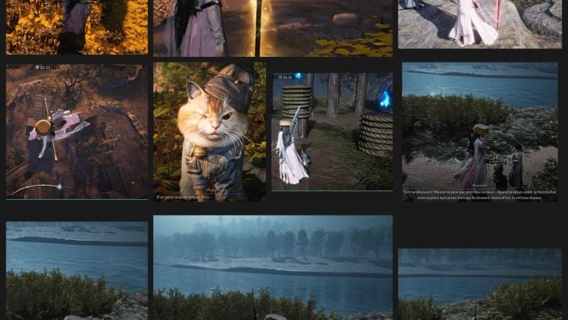 WWM Where Winds Meets  Monastère de chat Miséricordieus