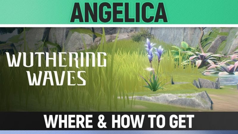 Wuthering Waves - Angelica - Where & How to get