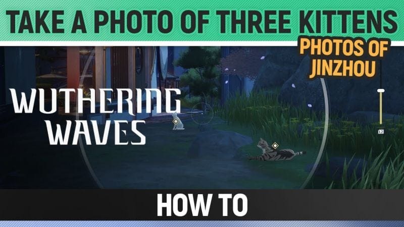 Wuthering Waves - Take a photo of three kittens - Photos of Jinzhou