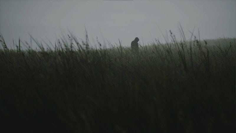 Lushfoil Photography Sim VR - Trailer de lancement officiel | Upload VR Showcase Winter 2025