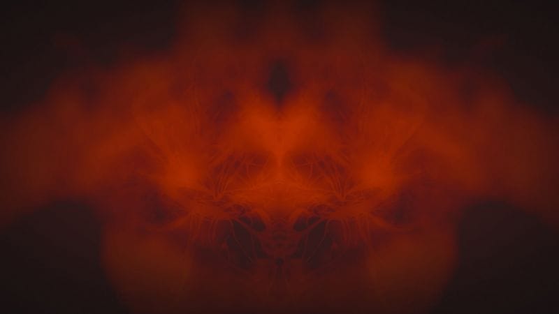 Quizz de l’AVENT du 9 décembre 25