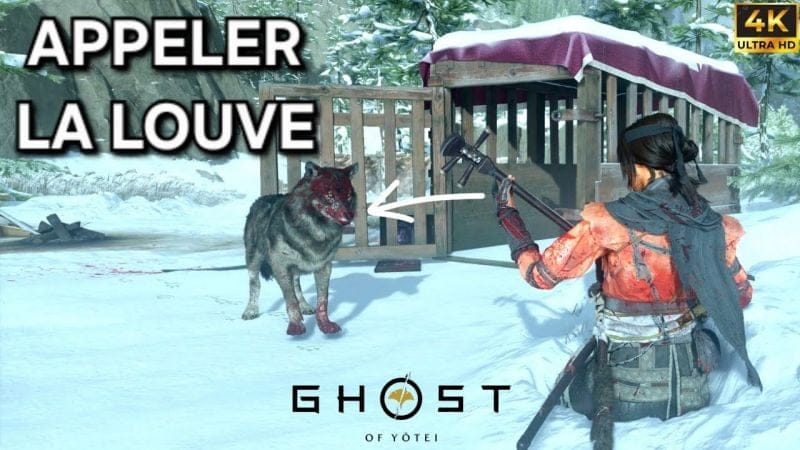Comment DÉBLOQUER la LOUVE dans GHOST OF YOTEI (4K)