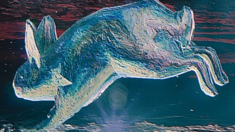 Quizz de l AVENT du 11 décembre 2025