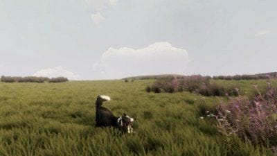 The Free Shepherd : un adorable jeu avec un border collie annoncé en vidéo