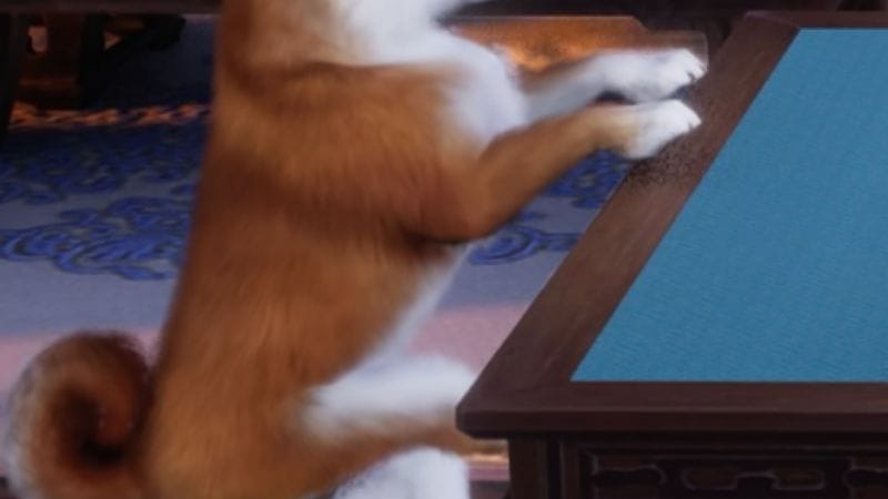 Quizz de l AVENT du 16 décembre