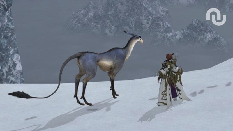 Les joueuses et les joueurs de Final Fantasy XIV ont encore bâti un culte autour d’un bug