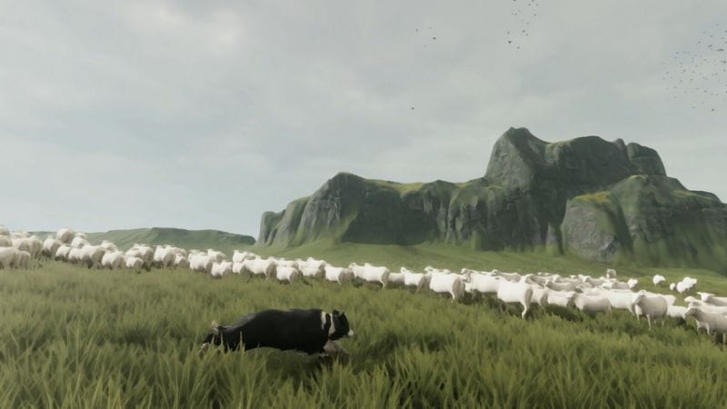 The Free Shepherd, une grande aventure où l'on joue un border collie