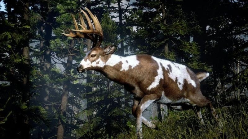 Cerf légendaire Red Dead Redemption 2 : Position, ressources, artisanat... Où trouver cet animal légendaire ?  - Soluce Red Dead Redemption 2, guide complet - jeuxvideo.com