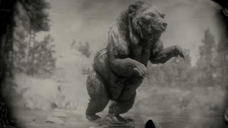 Grizzly Bharati légendaire Red Dead Redemption 2 : Position, ressources, artisanat... Où trouver cet animal légendaire ?  - Soluce Red Dead Redemption 2, guide complet - jeuxvideo.com
