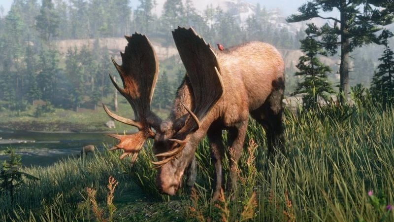 Orignal légendaire Red Dead Redemption 2 : Position, ressources, artisanat... Où trouver cet animal légendaire ?  - Soluce Red Dead Redemption 2, guide complet - jeuxvideo.com
