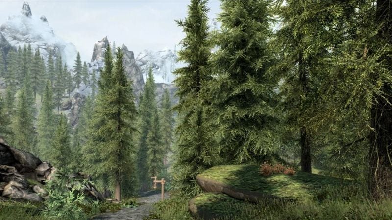 The Elder Scrolls VI aura plus d'arbres que Skyrim - IG News