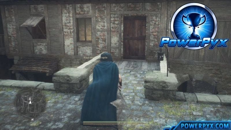 Dragon's Dogma 2 - Plenty Arisen to Go Round Trophy / Achievement Guide