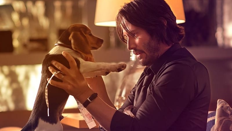 Un "jeu AAA" de John Wick est en cours de développement.