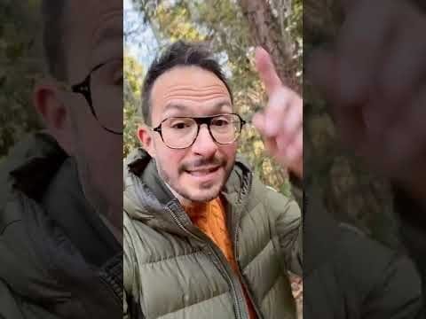 UBISOFT PIRATÉ 🏴‍☠️ Les conséquences pour les joueurs