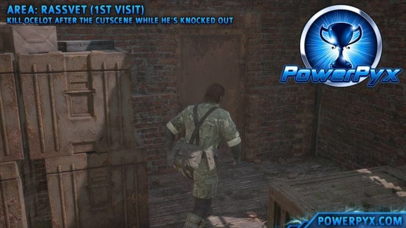 Metal Gear Solid 3 Delta - Time Paradox Trophy Guide / Achievement Guide