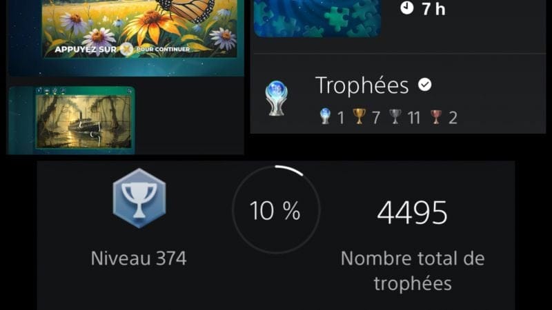 Platine no 51 Puzzle Galaxy