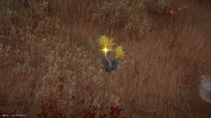 Sablante Arknights Endfield : comment obtenir cette plante ?