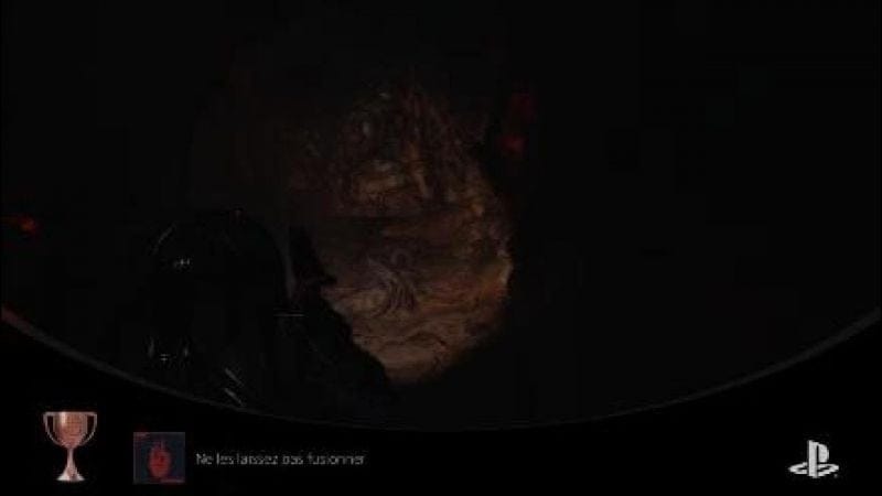 Cronos The New Dawn : Guide/Trophée Ne les laissez pas fusionner